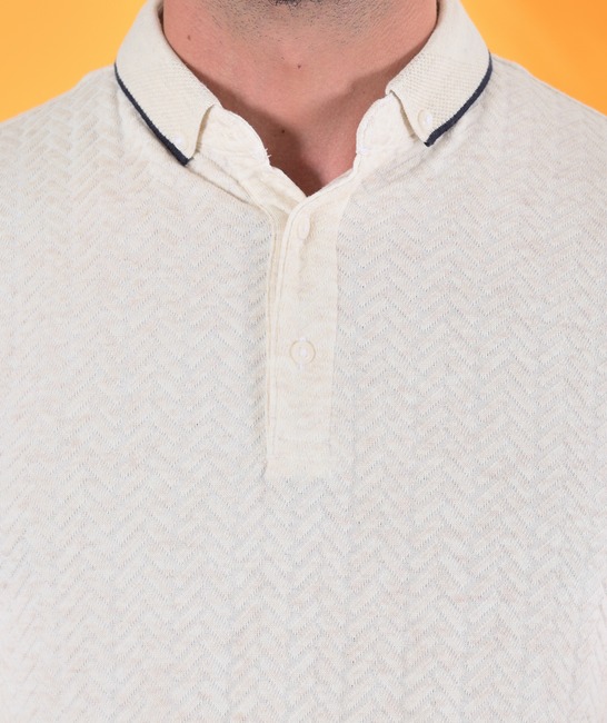 Ανδρικό t-shirt με γιακά σε μικρά στοιχεία χρώμα μπεζ 