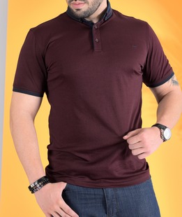 Ανδρικό μπορντό μπλουζάκι με γιακά και κεντημένο λογότυπο