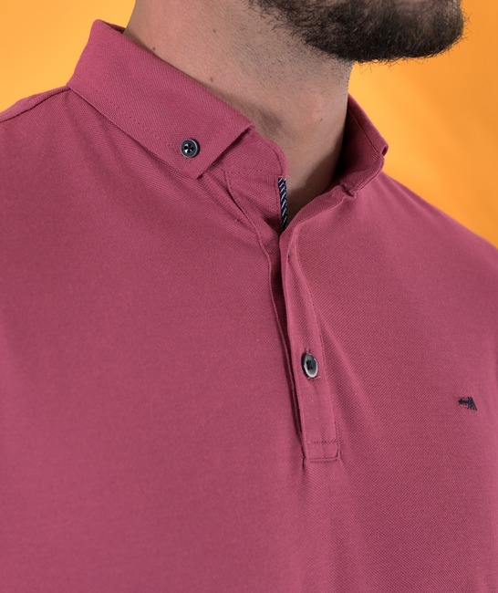 Ανδρικό μπλουζάκι με γιακά σε χρώμα κερασί με λογότυπο