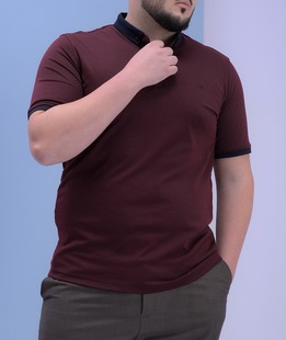Μπλούζα πόλο μεγάλου μεγέθους με λογότυπο χρώμα μπορντό