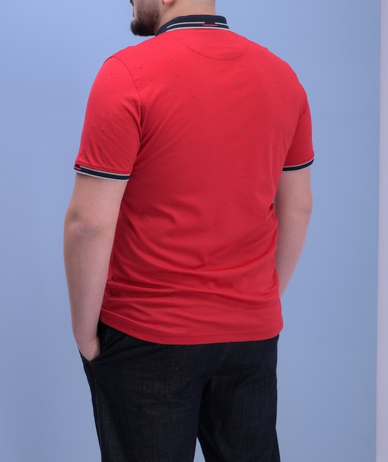 Μπλούζα μεγάλου μεγέθους με γιακά κόκκινο χρώμα 