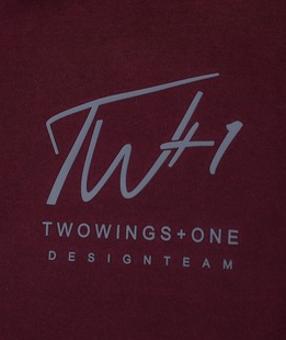 Ανδρική μπλούζα TW Plus χρώμα μπορντώ