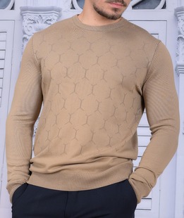 Ανδρικό μπεζ πουλόβερ 