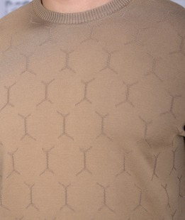 Ανδρικό μπεζ πουλόβερ 