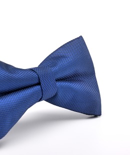 Κλασικό κομψό ανδρικό παπιγιόν σε σκούρο μπλε