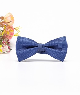 Κλασικό κομψό μπλε παπιγιόν