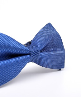 Κλασικό κομψό μπλε παπιγιόν