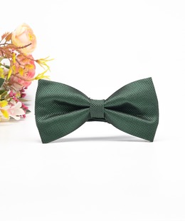 Κομψό ανδρικό παπιγιόν σε πράσινο χρώμα