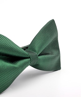 Κομψό ανδρικό παπιγιόν σε πράσινο χρώμα