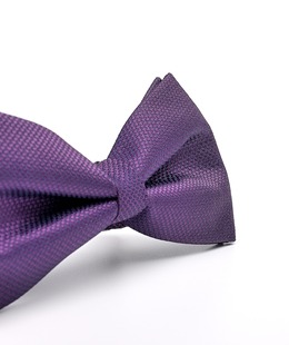 Μωβ ανδρικό κλασικό παπιγιόν 