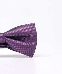 Ανδρικό παπιγιόν χρώμα Violet 