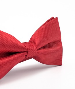 Κομψό κόκκινο ανδρικό παπιγιόν 