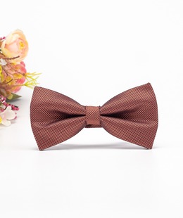 Πολυτελές παπιγιόν σε πορτοκαλί χρώμα χαμαιλέοντα 