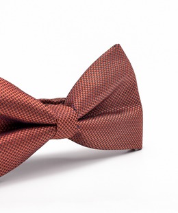 Πολυτελές παπιγιόν σε πορτοκαλί χρώμα χαμαιλέοντα 