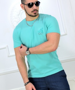 Εκλεπτυσμένο ανδρικό μπλουζάκι με κοντό μανίκι σε χρώμα μέντα