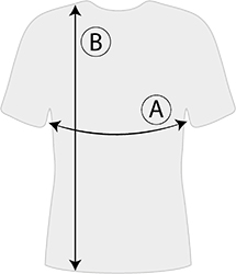 27 - Ανδρικό γκρι μπλουζάκι με ριγέ γράμμα